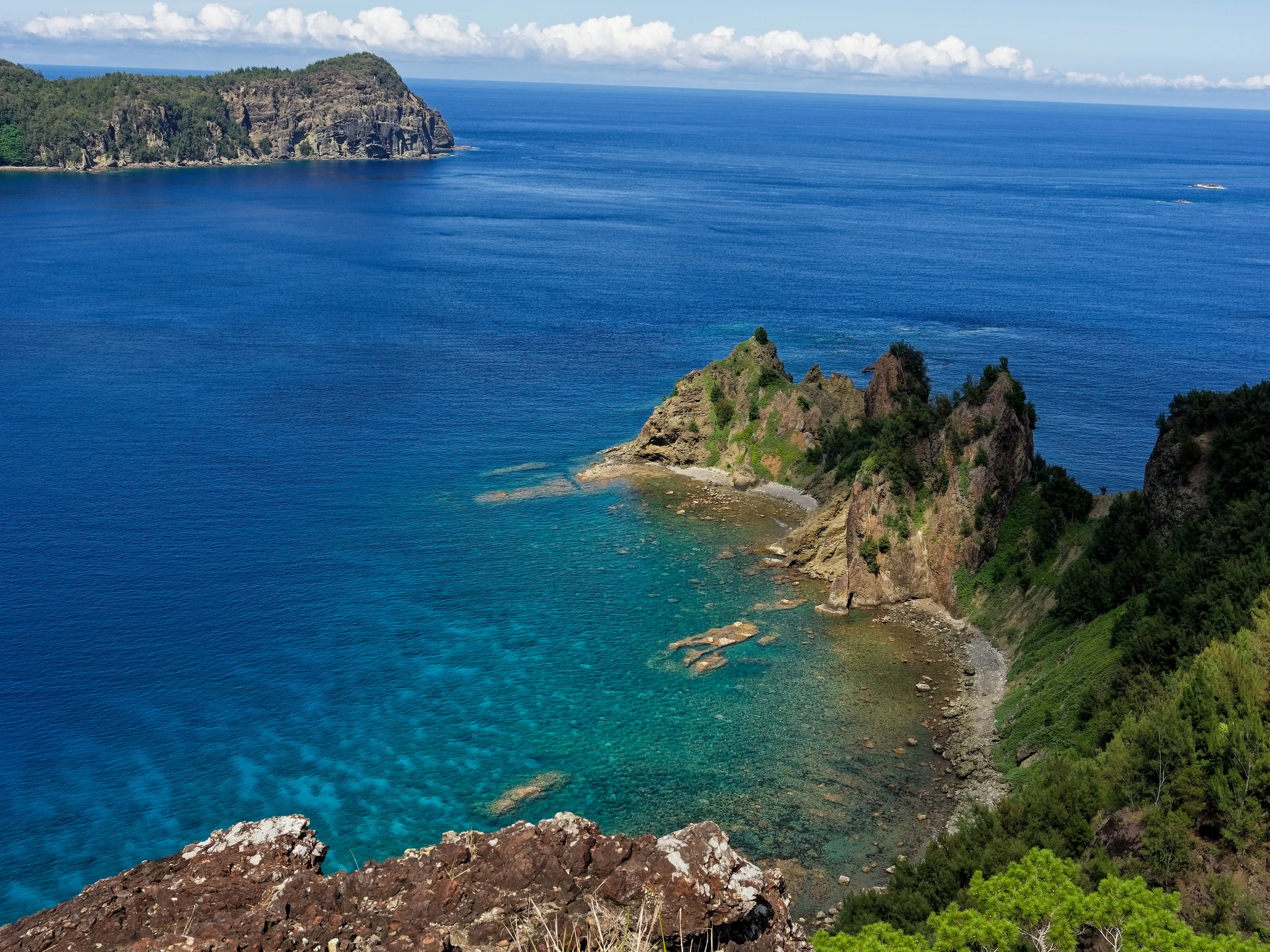 青い海と緑に覆われた岩場、入り江を高い場所から見渡す風景